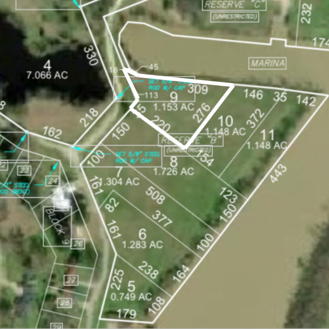 Lot 9 Lake Livingston Lane Trinity TX 75862
