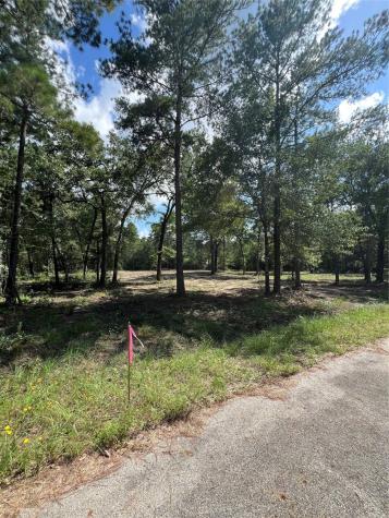 Tbd Lot 2 Deerwood Drive Plantersville TX 77363