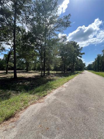 Tbd Lot 2 Deerwood Drive Plantersville TX 77363