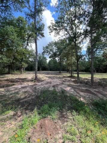 Tbd Lot 2 Deerwood Drive Plantersville TX 77363