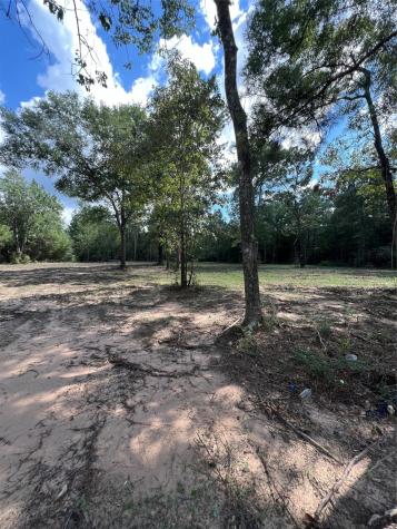 Tbd Lot 2 Deerwood Drive Plantersville TX 77363