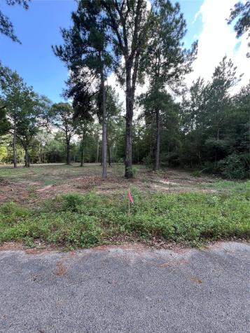 Tbd Lot 2 Deerwood Drive Plantersville TX 77363