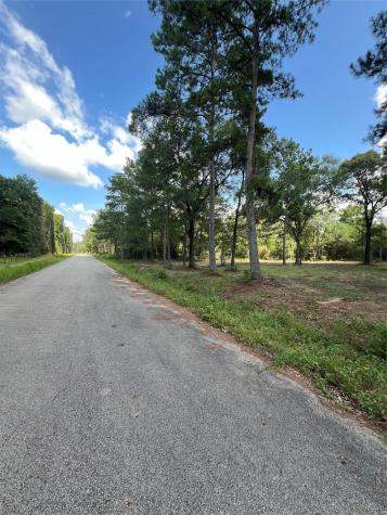 Tbd Lot 2 Deerwood Drive Plantersville TX 77363