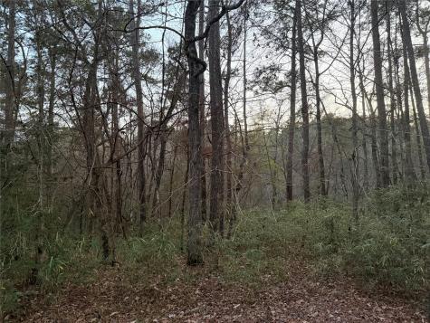 94 Green Tree Drive Coldspring TX 77331