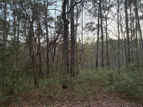 94 Green Tree Drive Coldspring TX 77331