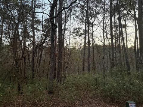 94 Green Tree Drive Coldspring TX 77331
