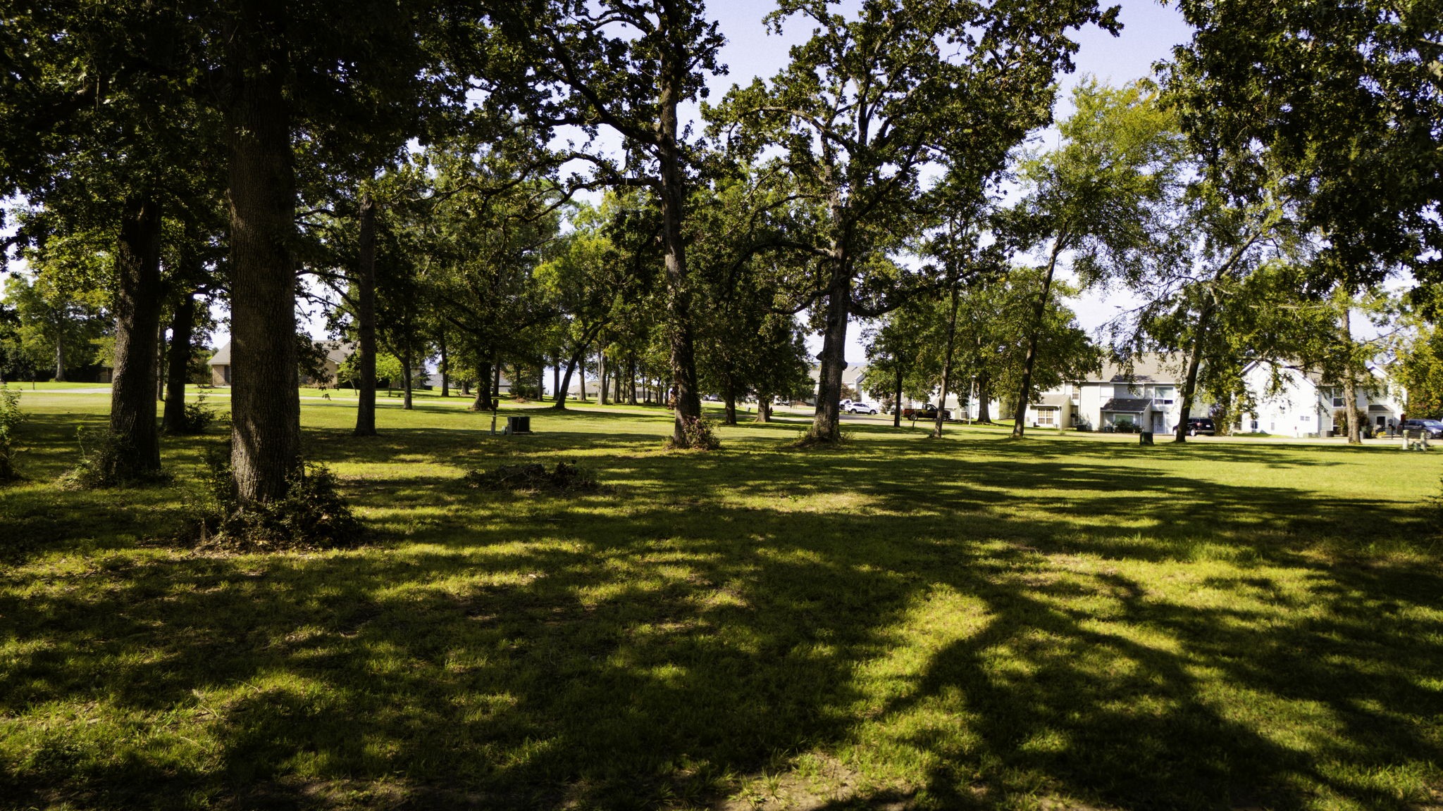 Tbd Deep Woods Lane Livingston TX 77351