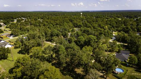 Tbd Deep Woods Lane Livingston TX 77351