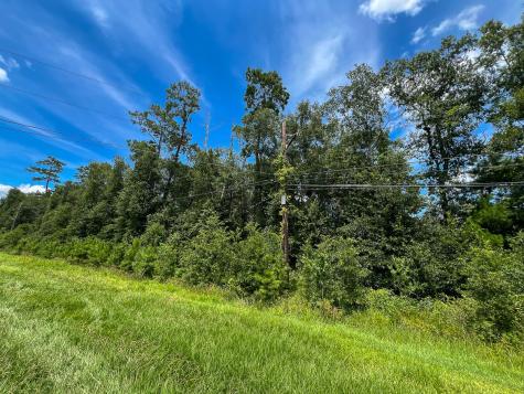 0 Fm 1132 Vidor TX 77662