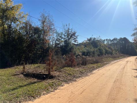 Tbd Shenandoah Lane Livingston TX 77351