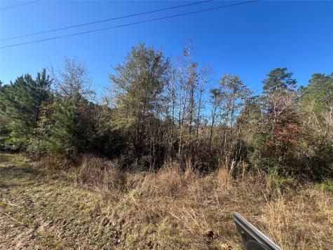 Tbd Shenandoah Lane Livingston TX 77351
