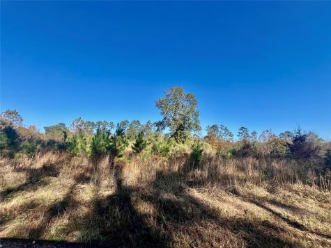Tbd Shenandoah Lane Livingston TX 77351