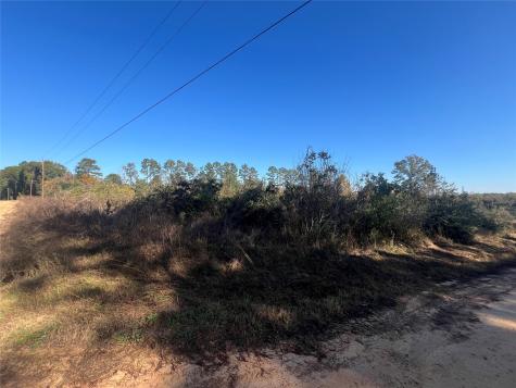 Tbd Shenandoah Lane Livingston TX 77351