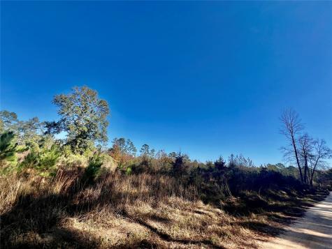 Tbd Shenandoah Lane Livingston TX 77351