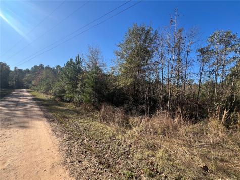 Tbd Shenandoah Lane Livingston TX 77351