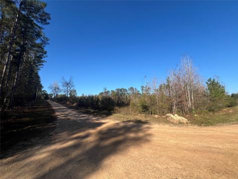 Tbd Shenandoah Lane Livingston TX 77351