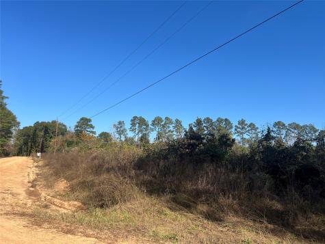 Tbd Shenandoah Lane Livingston TX 77351