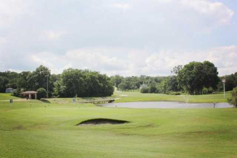 63 Holly Lane Hilltop Lakes TX 77871