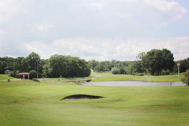 63 Holly Lane Hilltop Lakes TX 77871