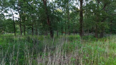 O Panther Lane Livingston TX 77351