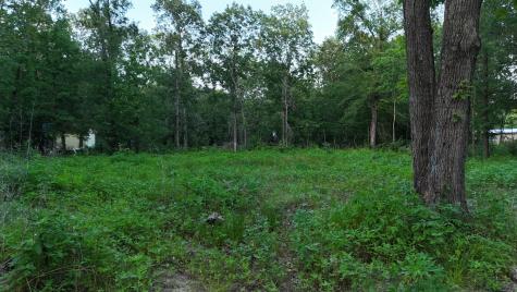 O Panther Lane Livingston TX 77351