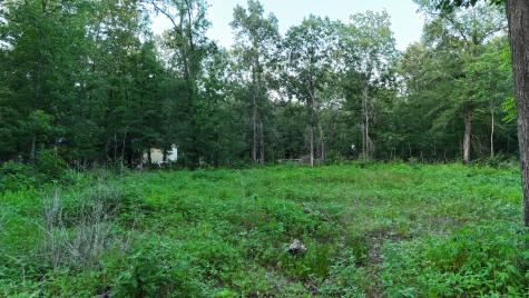 O Panther Lane Livingston TX 77351