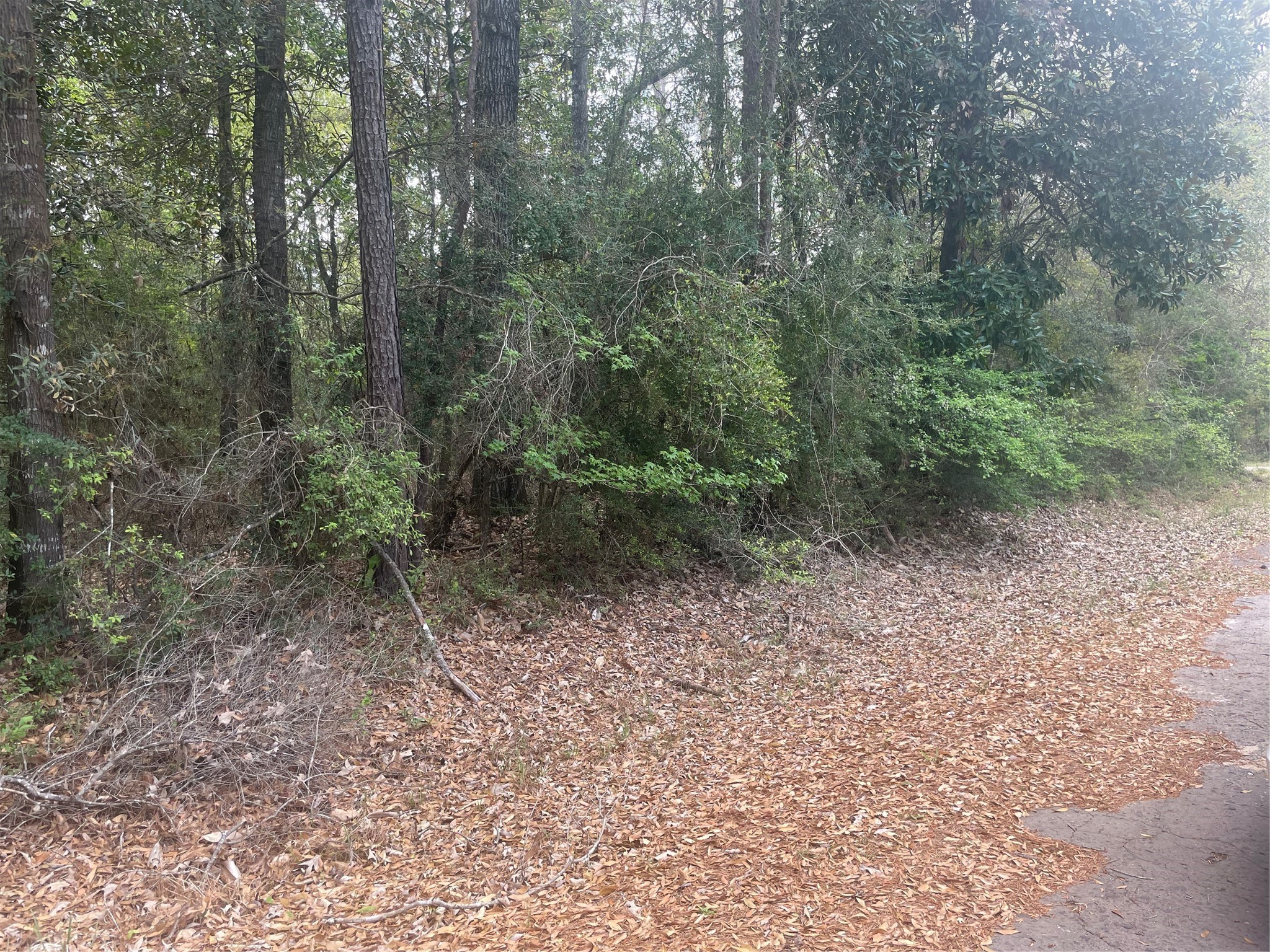 Lot 8 Chestnut Circle Village Mills TX 77663