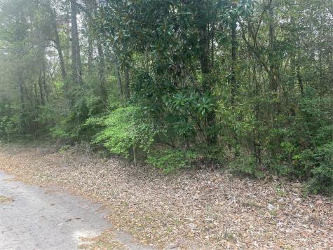 Lot 8 Chestnut Circle Village Mills TX 77663
