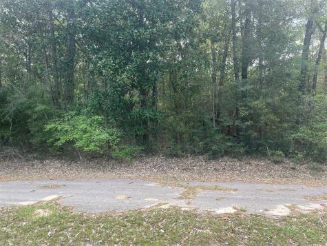 Lot 8 Chestnut Circle Village Mills TX 77663