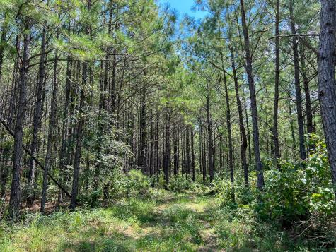 000000 Farm To Market 352 Corrigan TX 75939