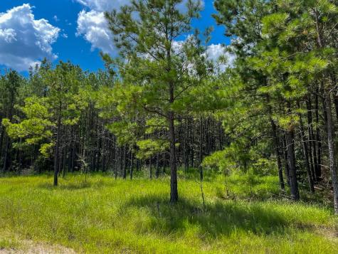 000000 Farm To Market 352 Corrigan TX 75939