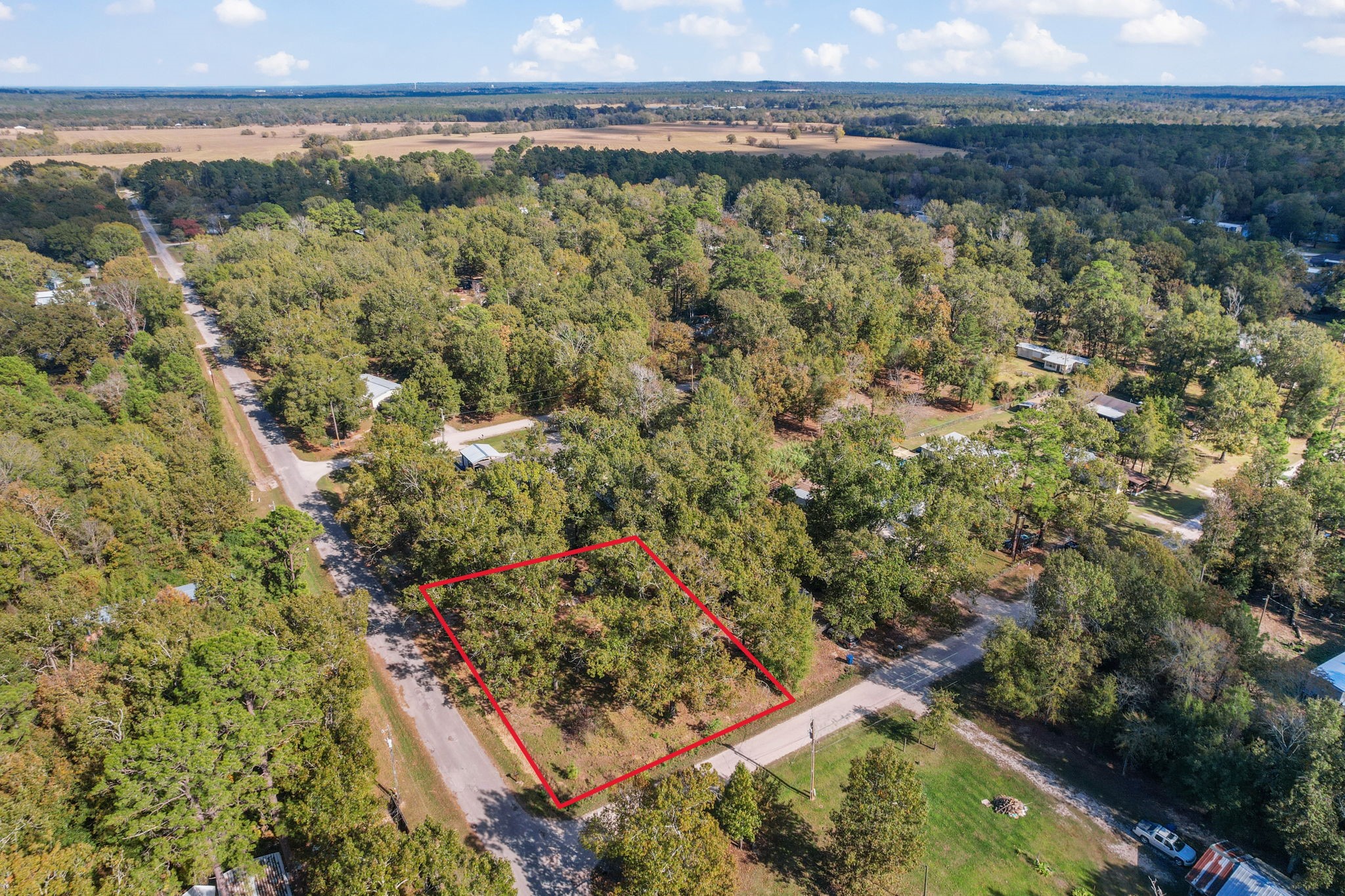 344 Wilcox Drive Livingston TX 77351