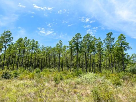 0 Lost Indian Camp Road Huntsville TX 77320