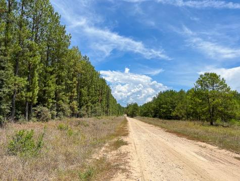 0 Lost Indian Camp Road Huntsville TX 77320