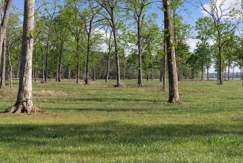 Lot 9 Island View Road Livingston TX 77351