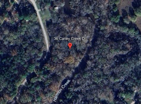36 Caney Creek Drive Huntsville TX 77320