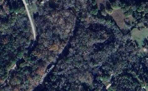 36 Caney Creek Drive Huntsville TX 77320