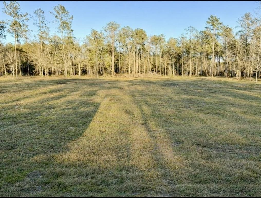 9145 Bear Creek Drive Kountze TX 77625