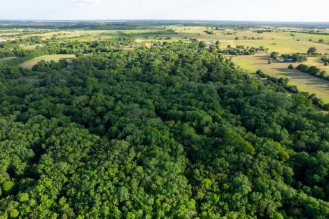 12515 Whitman Road Washington TX 77880