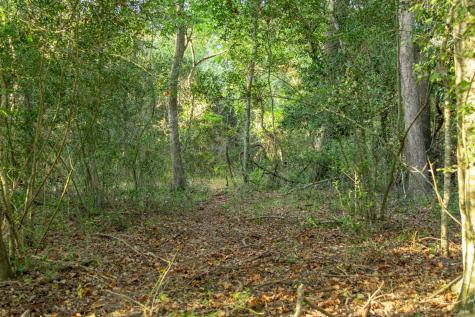 12515 Whitman Road Washington TX 77880