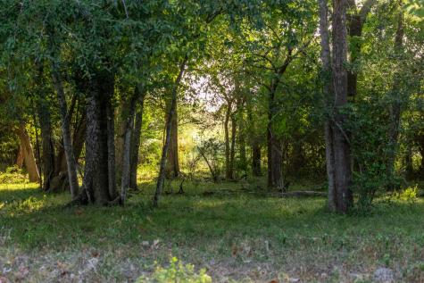 12515 Whitman Road Washington TX 77880