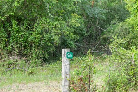 12515 Whitman Road Washington TX 77880