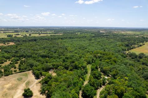 12515 Whitman Road Washington TX 77880