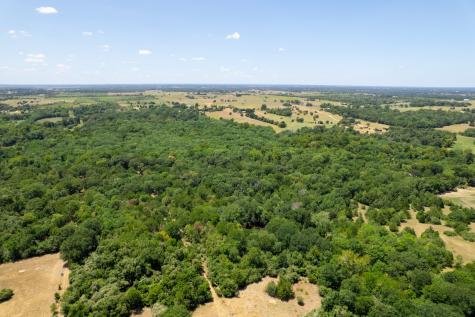 12515 Whitman Road Washington TX 77880