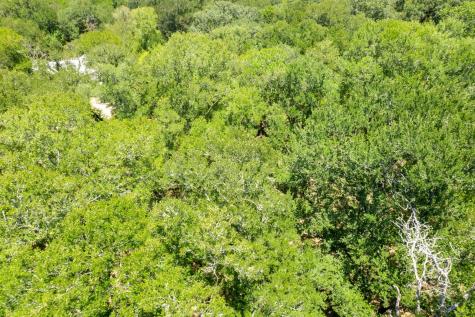 12515 Whitman Road Washington TX 77880