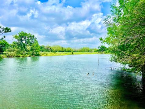 0 Farm To Market 521 Cedar Lane TX 77415