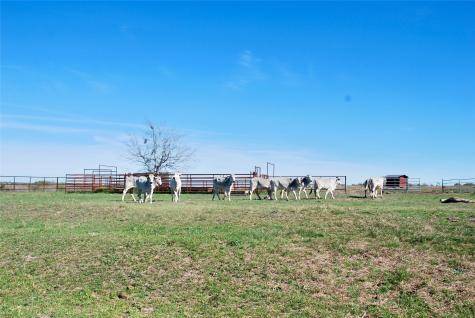 Tbd State Highway 95 N Moulton TX 77975