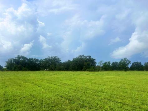 1238 Frontier Trail Angleton TX 77515