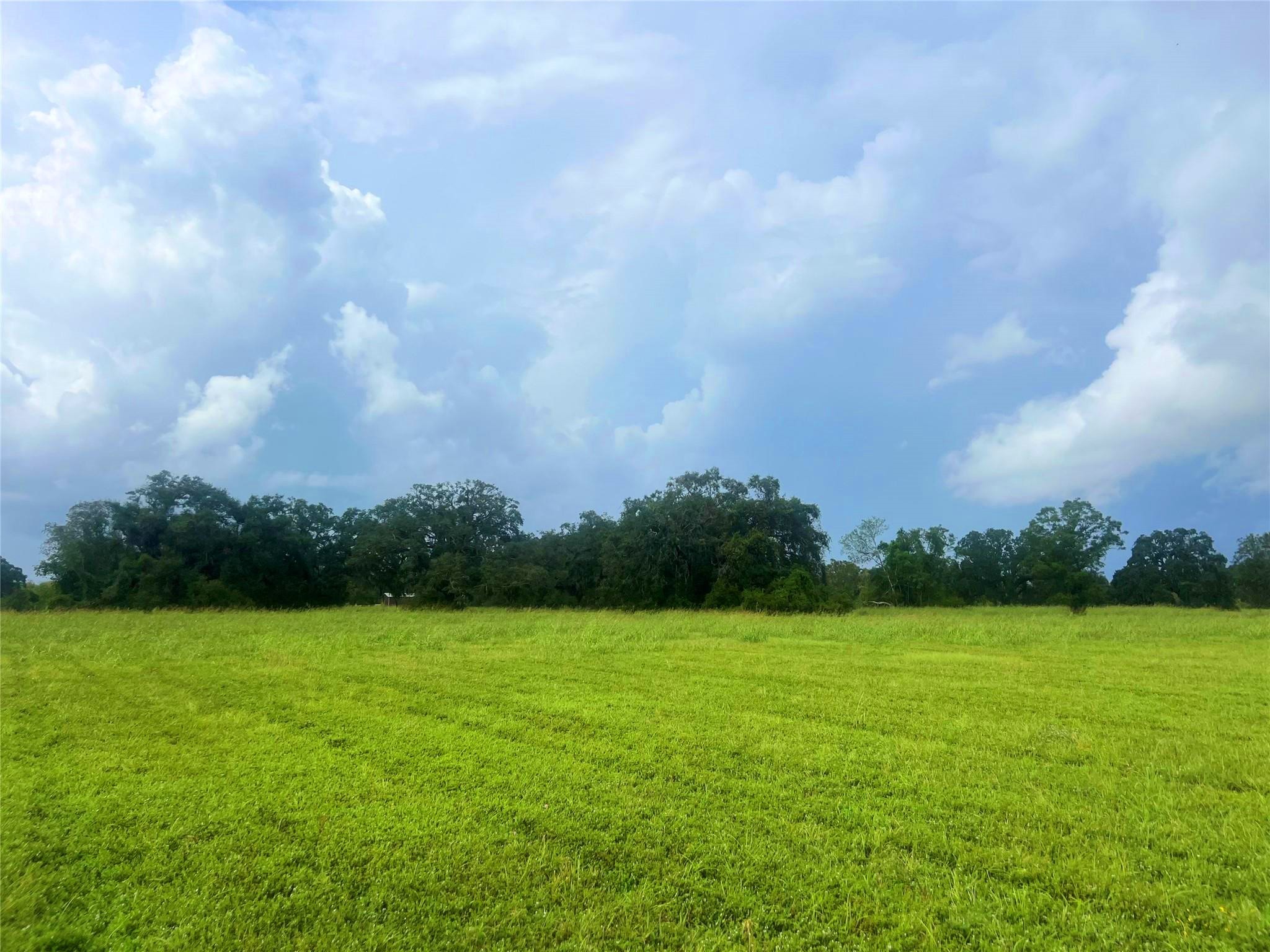 1238 Frontier Trail Angleton TX 77515