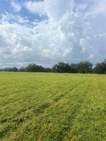 1238 Frontier Trail Angleton TX 77515
